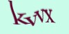 Tekshiruvchi kod